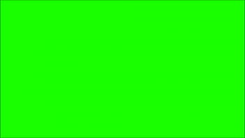 6960 greenscreen Video